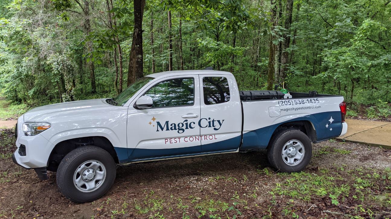 Contact Magic City Pest Control, Birmingham, Huntsville