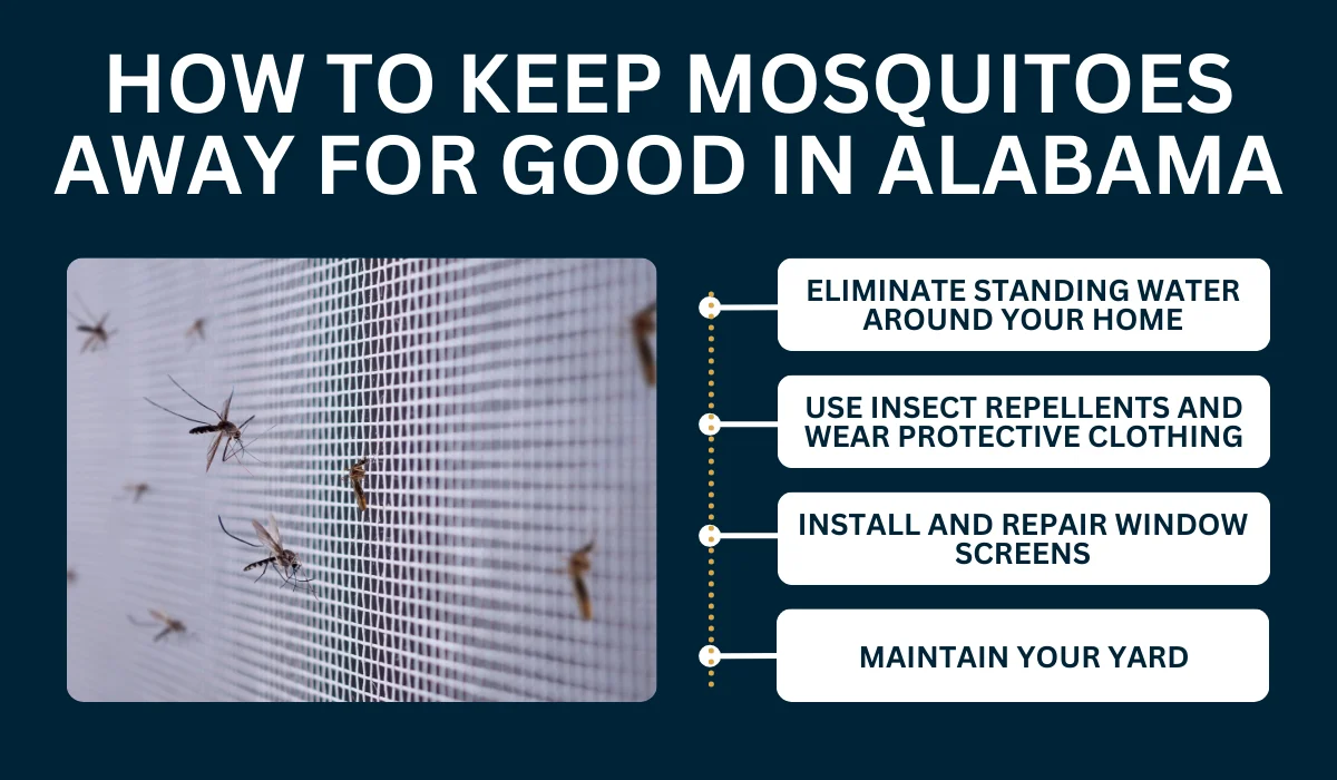 How to Keep Mosquitoes Away for Good in Alabama