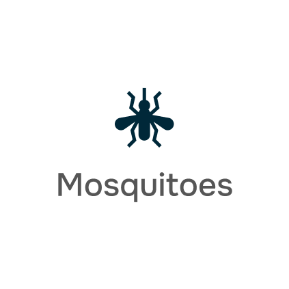 mosquitoes